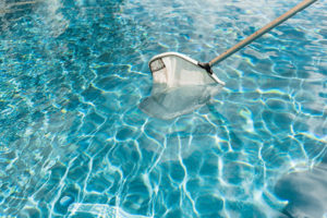 Pool net skimming a clear blue pool