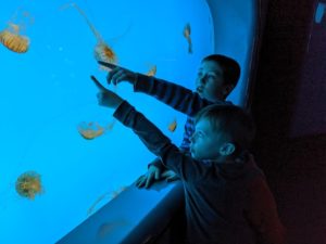 Kids looking at fish at the aquarium
