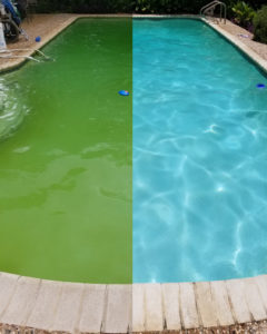 Swimming pool before and after green pool service with Pool Scouts of Boise