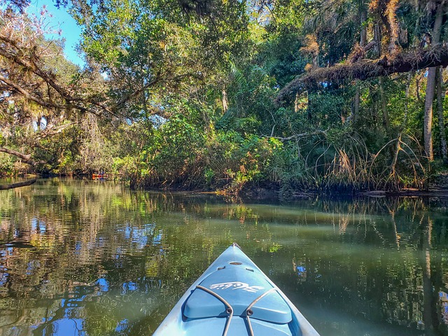 Kayak on the Four Mile Cove Ecological Preserve