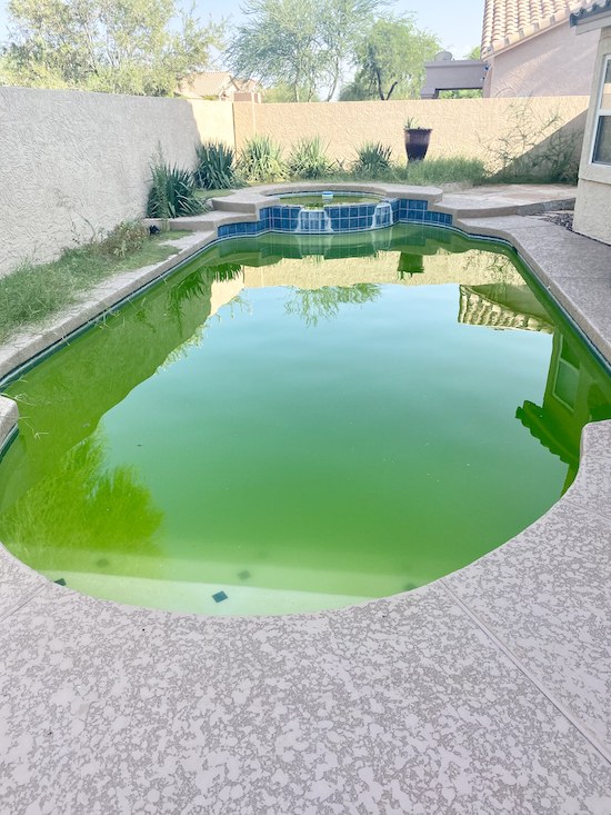 Green swimming pool in need of pool service