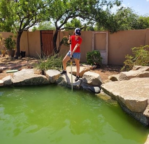 Pool technician providing green to clean pool service