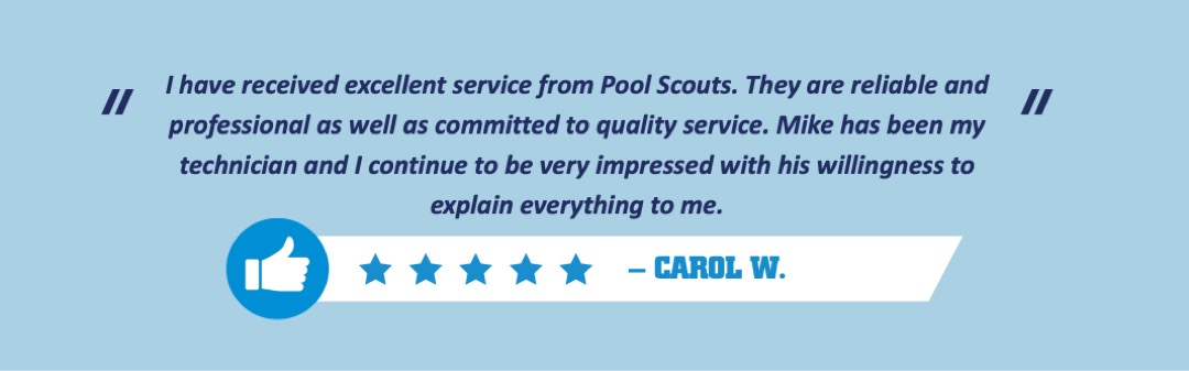Positive review from customer of Pool Scouts of Detroit