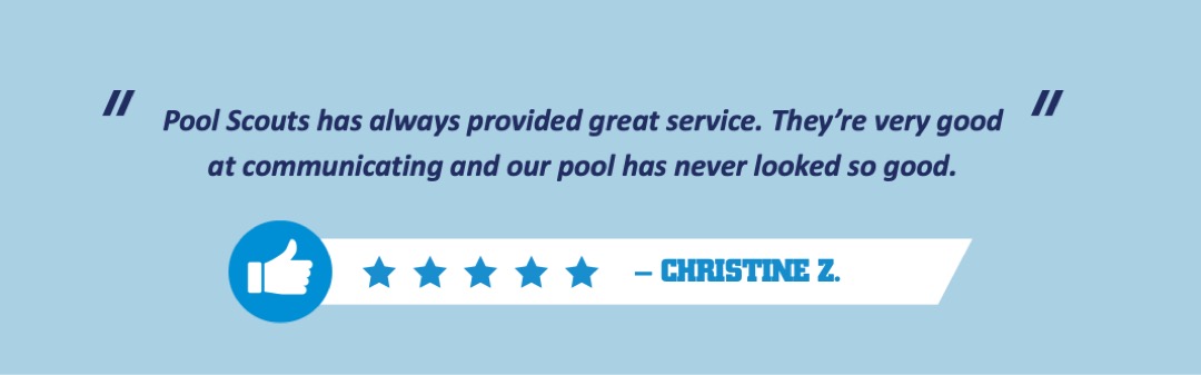 Customer review for pool service in Detroit recommending to friends and family