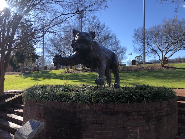 Davidson wildcat statue in Davidson, NC