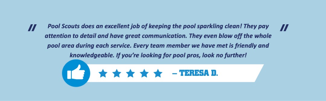 Positive customer testimonial about excellent pool care on Lake Norman About Us page