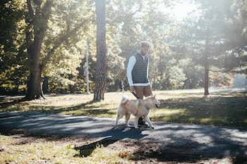 Man walking dog in park in Waxhaw on a sunny day