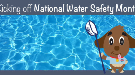 Pool Scouts Water Safety Gizmo