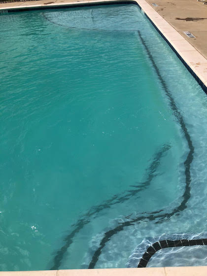A cloudy and green pool before pool service