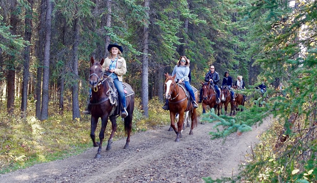 Horseback riding tour on a trail through the woods