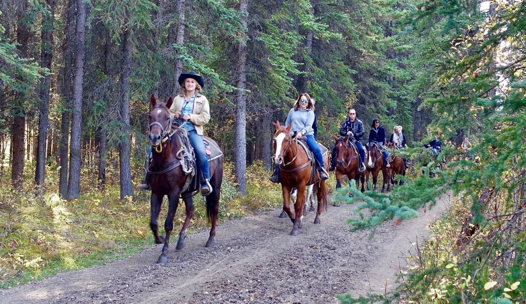 Horseback riding tour on a path in the woods