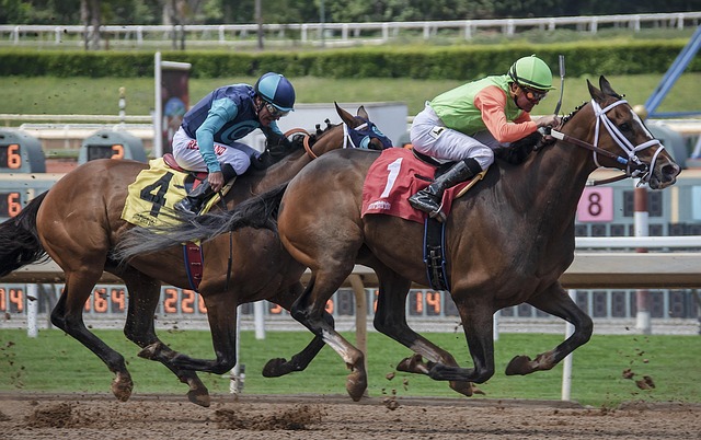 Horse Racing in Monmouth Park near Long Branch
