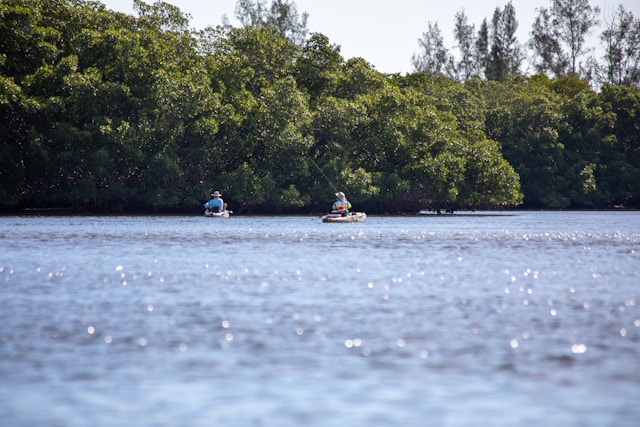 People kayaking on a lake near Island Walk, FL