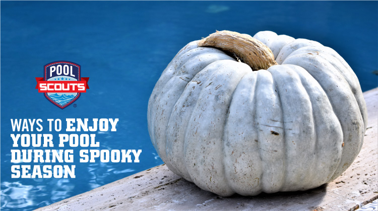 Pumpkin laying next to a clean swimming pool