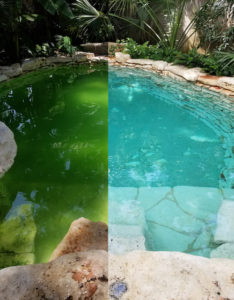 Green cloudy pool on left, and clear blue pool on right showing before and after