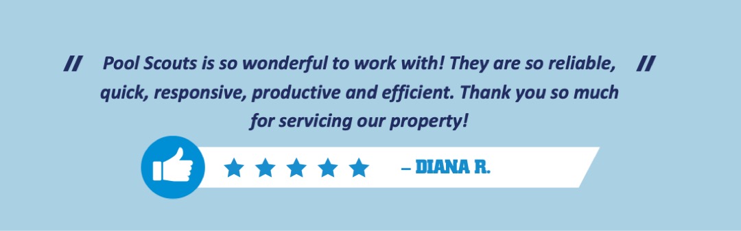 Positive review for pool service in North Fort Worth