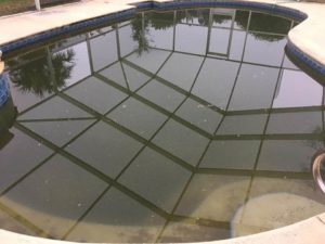 Image before a Pool Scouts cleaning of a dirty swimming pool