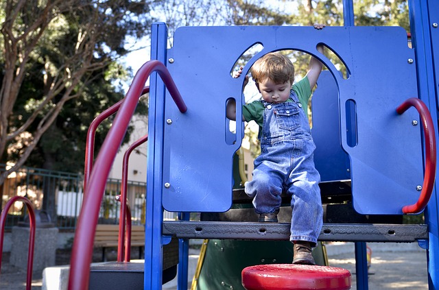 Little boy climbing on a playset in the park