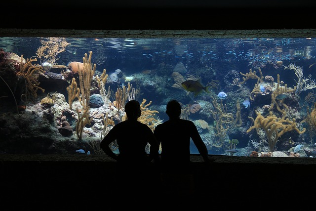 Two people standing in front of exhibit at the Charlotte-Concord Aquarium