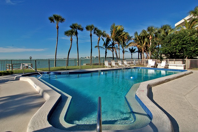 Swimming pool in a backyard with palm trees along the ocean in Siesta Key