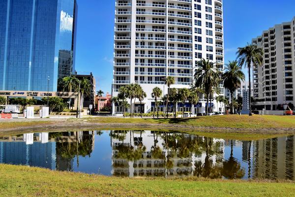 Lake with palm trees and buildings in Sarasota, FL