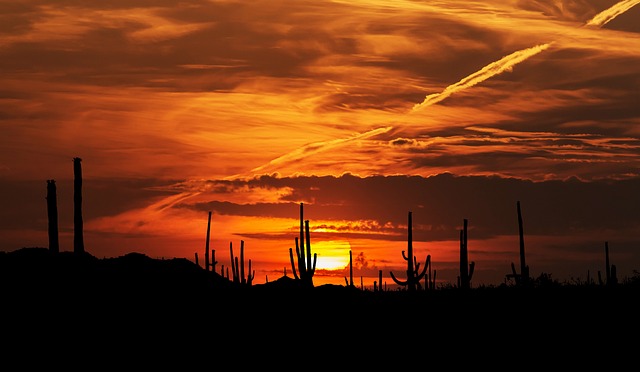 Sunset in the Sonoran Desert in Arizona