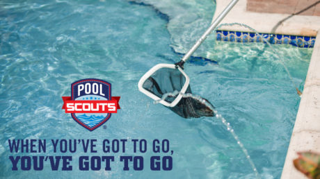Pool Scouts Pool Accident Blog