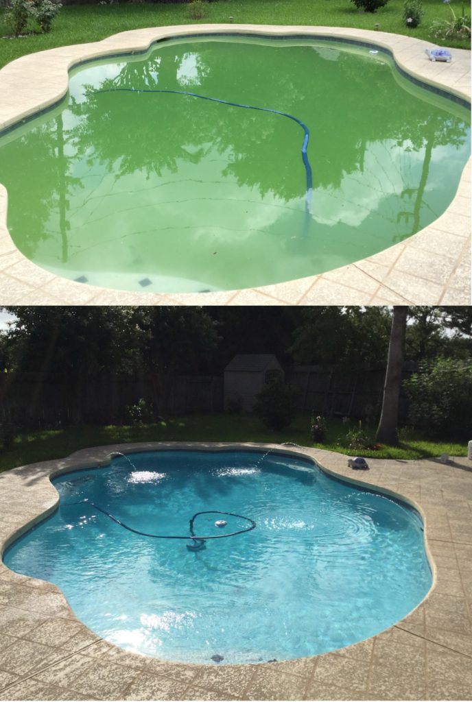 Pool before picture on the left with green water and cloudy. After pic on the right with blue, clear water