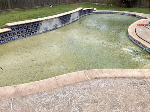 Dirty pool before Pool Scouts pool service in Sugar Land
