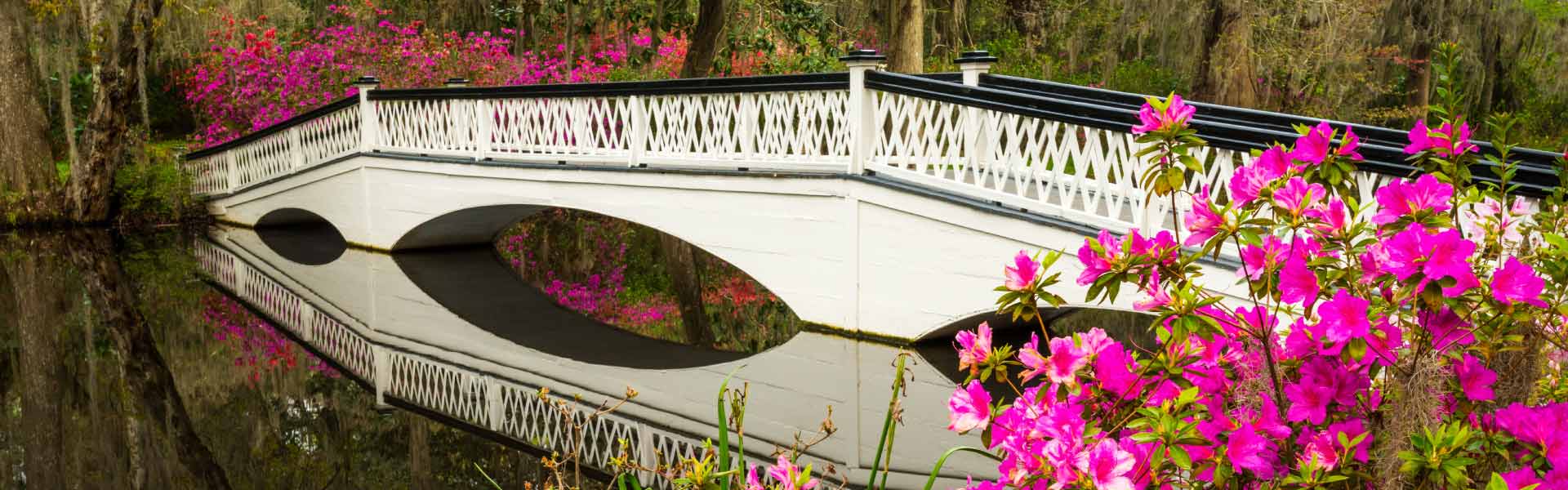 Azalea Garden and bridge in Summerville, SC