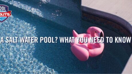 A clean saltwater pool with flamingo float