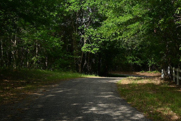 Walking trail at a nature park in Driftwood, TX