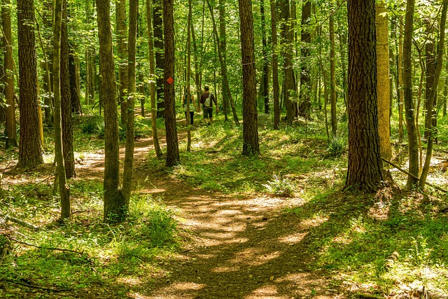 Couple on hiking trail in Chapel Hill, NC