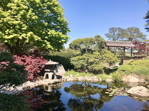 Japanese Garden at Norfolk Botanical Garden