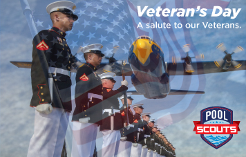 Veterans Day 2016 Pool Scouts