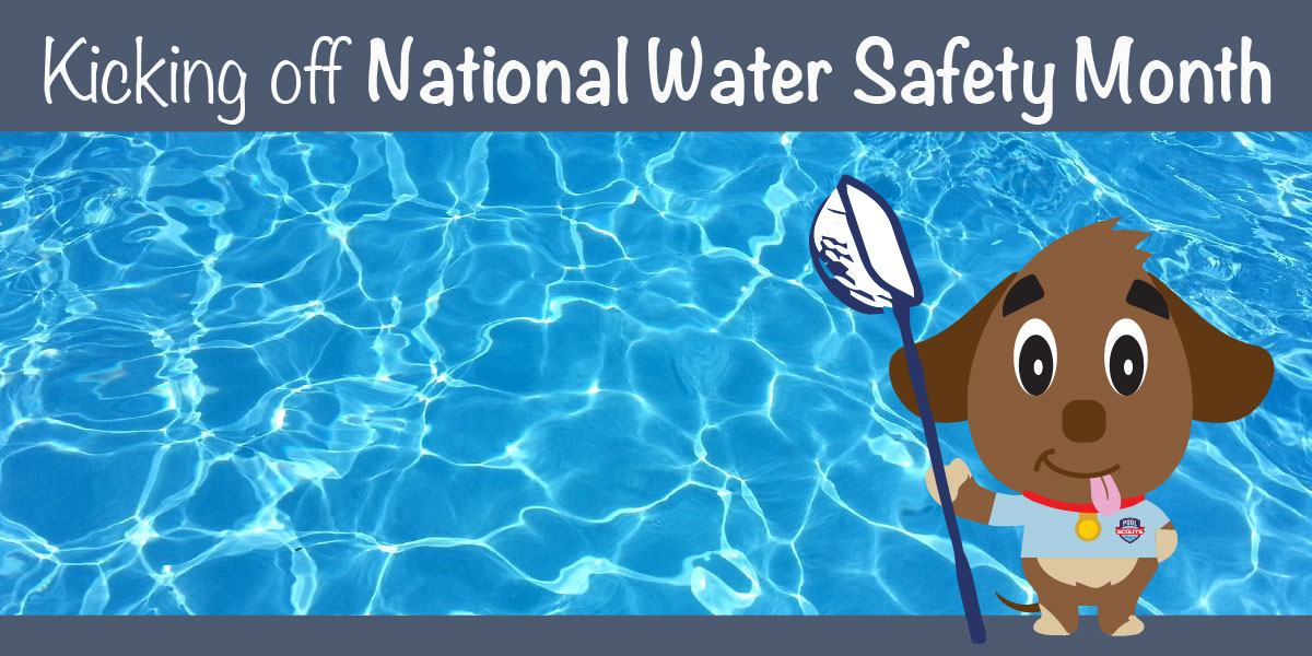 Pool Scouts Water Safety Gizmo