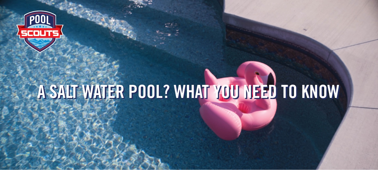 A clean saltwater pool with flamingo float